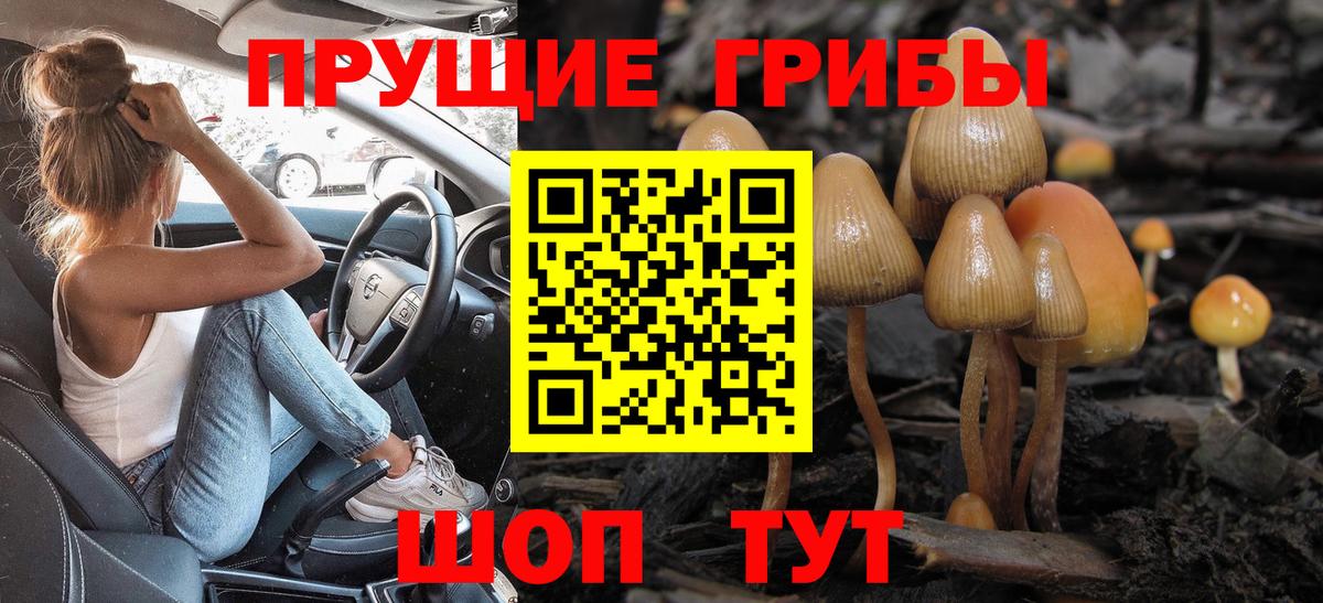 Псилоцибиновые грибы мухоморы  Вход с VPN  Липецк  Псилоцибиновые грибы Psilocybine cubensis 