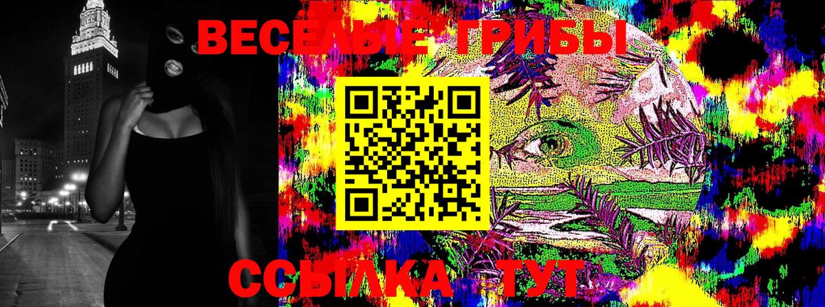 Псилоцибиновые грибы Psilocybine cubensis Липецк